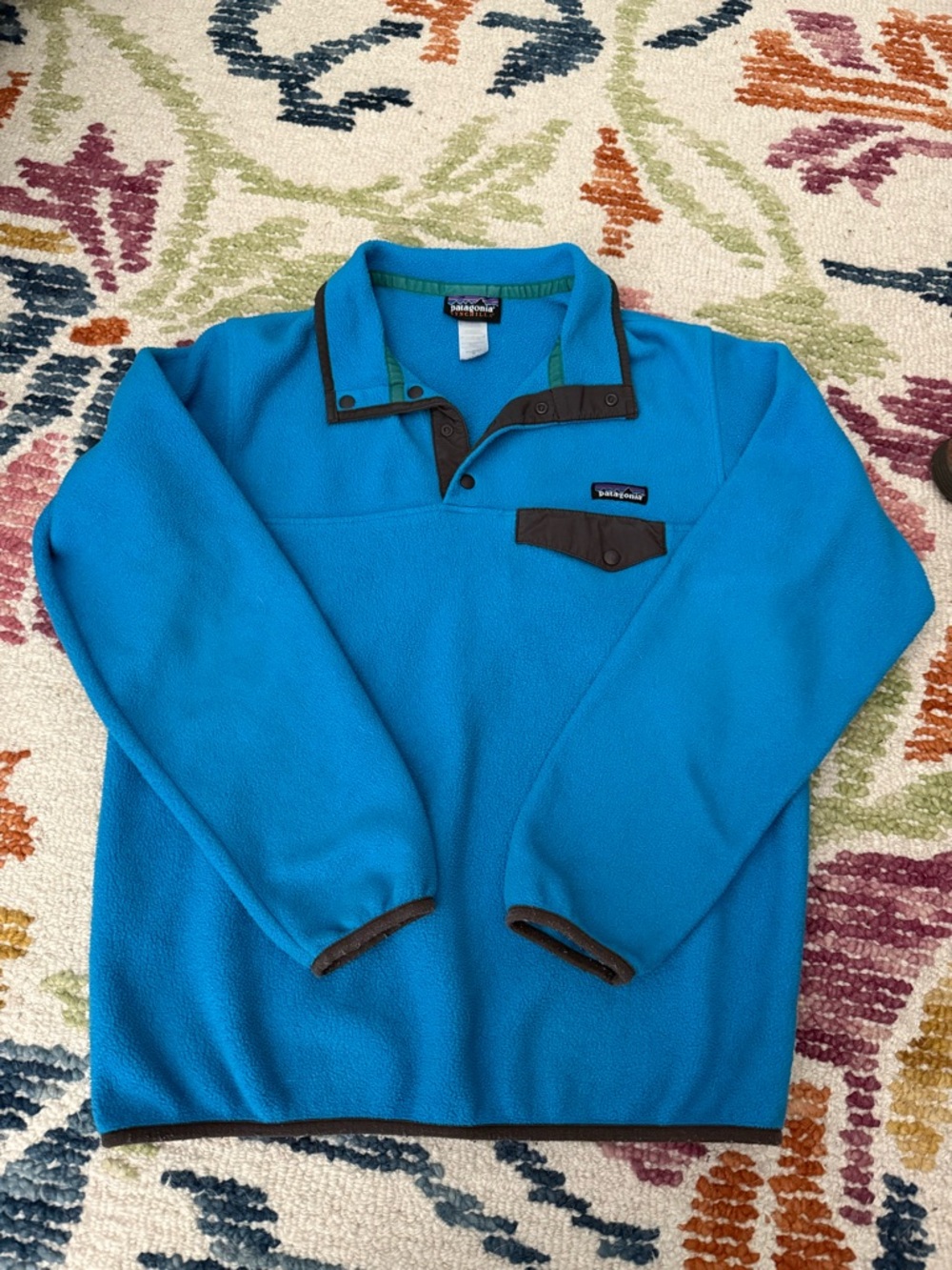 Patagonia Blue Synchilla Fleece Pullover